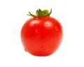 Fresh organic tomato