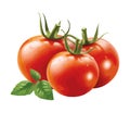 Fresh organic tomato salad, vegetarian meal