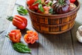 Fresh Organic Tomatoes in a basket and basil with garlik on a wooden table. Royalty Free Stock Photo