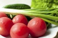 Fresh organic tomatoes and cucumbers with green onions on a white plate Royalty Free Stock Photo