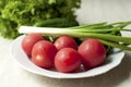 Fresh organic tomatoes and cucumbers with green onions on a white plate