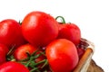 Fresh organic tomatoes with water drops in a basket isolated on white. Close up Royalty Free Stock Photo