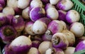 Fresh organic turnip in market