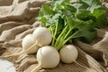 Fresh organic turnips with green leaves on a rustic burlap cloth. Royalty Free Stock Photo