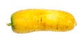 Fresh organic uzbek yellow carrot isolated Royalty Free Stock Photo
