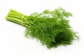 fresh organic vegetable, bunch of dill, white background, ai generated