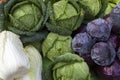 Fresh organic vegetable, close-up Royalty Free Stock Photo