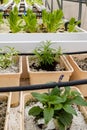 Aquaponics or hydroponic farming system