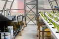 Aquaponics or hydroponic farming system