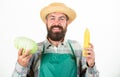 Fresh organic vegetable harvest. Man bearded presenting corncob maize and cabbage white background isolated. Hipster