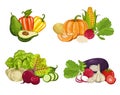 Fresh organic vegetable isolated composition set