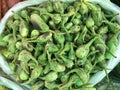 Fresh organic vegetable on street market stall Royalty Free Stock Photo