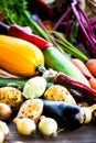 Fresh Organic Vegetables. Autumn Harvest Concept Royalty Free Stock Photo