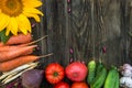 Fresh Organic Vegetables. Autumn Harvest Concept. Royalty Free Stock Photo