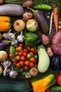 Fresh Organic Vegetables. Autumn Harvest Concept. Royalty Free Stock Photo