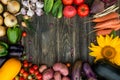 Fresh Organic Vegetables. Autumn Harvest Concept. Royalty Free Stock Photo