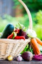 Fresh Organic Vegetables in basket. Autumn Harvest Concept Royalty Free Stock Photo