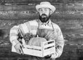 Fresh organic vegetables box. Farmer hipster straw hat deliver fresh vegetables. Man cheerful bearded farmer wear apron Royalty Free Stock Photo