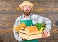 Fresh organic vegetables box. Farmer hipster straw hat deliver fresh vegetables. Man cheerful bearded farmer wear apron Royalty Free Stock Photo