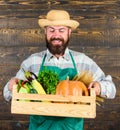 Fresh organic vegetables box. Man cheerful bearded farmer wear apron presenting vegetables box wooden background. Farmer Royalty Free Stock Photo