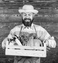 Fresh organic vegetables box. Man cheerful bearded farmer wear apron presenting vegetables box wooden background. Farmer Royalty Free Stock Photo