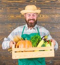 Fresh organic vegetables box. Man cheerful bearded farmer wear apron presenting vegetables box wooden background. Farmer Royalty Free Stock Photo