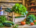 Fresh Organic Vegetables Displayed Rustically on Wooden Shelf