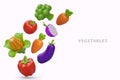 Fresh organic vegetables from farm. Vegetarian menu cover template