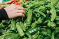 Fresh and organic vegetables at farmers market. Marketplace. Natural produce. Paprika. Pepper. Natural local products on Royalty Free Stock Photo