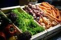 Fresh and organic vegetables on the farmers` market Royalty Free Stock Photo