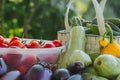 Fresh organic vegetables and fruits in a basket on a table in the garden. Healthy eating Eggplant, squash, cucumbers, tomatoes, Royalty Free Stock Photo