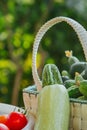 Fresh organic vegetables and fruits in a basket on a table in the garden. Healthy eating Eggplant, squash, cucumbers, tomatoes, Royalty Free Stock Photo