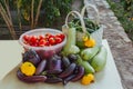 Fresh organic vegetables and fruits in a basket on a table in the garden. Healthy eating Eggplant, squash, cucumbers, tomatoes, Royalty Free Stock Photo