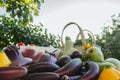 Fresh organic vegetables and fruits in a basket on a table in the garden. Healthy eating Eggplant, squash, cucumbers, tomatoes, Royalty Free Stock Photo