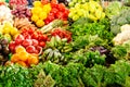 Fresh organic vegetables and greens on the grocery market counter. Healthy eating concept Royalty Free Stock Photo