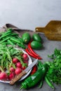 Fresh Organic Vegetables Herbs Red Radish in Enamel Dish Avocados Parsley Peas Capsicum Hot Chili Peppers on Dark Stone Table Royalty Free Stock Photo