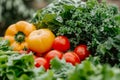 Fresh Organic Vegetables with Kale, Tomatoes, and Bell Peppers on a Rustic Table Healthy Eating Concept Royalty Free Stock Photo