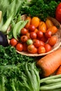 Fresh organic vegetables from local farmers market Royalty Free Stock Photo