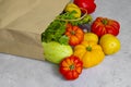 Fresh organic vegetables package vegetarian seasoning  in a paper bag on a concrete background Royalty Free Stock Photo