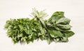 Fresh organic vegetables. Parsley and basil Royalty Free Stock Photo