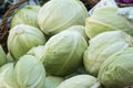 Fresh organic vegetables - Pile of cabbages in a basket at a far