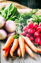 Fresh organic vegetables Royalty Free Stock Photo