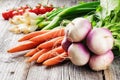 Fresh organic vegetables Royalty Free Stock Photo