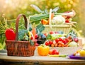 Fresh organic vegetables on a table Royalty Free Stock Photo