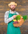 Fresh organic vegetables in wicker basket. Farmer straw hat presenting fresh vegetables. Farmer with homegrown Royalty Free Stock Photo