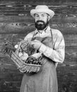Fresh organic vegetables in wicker basket. Farmer straw hat presenting fresh vegetables. Farmer with homegrown Royalty Free Stock Photo
