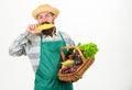 Fresh organic vegetables wicker basket. Hipster gardener wear apron carry vegetables. Man bearded presenting vegetables Royalty Free Stock Photo