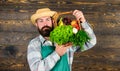 Fresh organic vegetables in wicker basket. Man bearded farmer presenting eco vegetables wooden background. Farmer straw Royalty Free Stock Photo