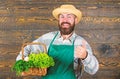 Fresh organic vegetables in wicker basket. Man bearded farmer presenting eco vegetables wooden background. Farm delivery Royalty Free Stock Photo