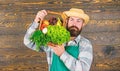 Fresh organic vegetables in wicker basket. Man bearded farmer presenting eco vegetables wooden background. Farmer straw Royalty Free Stock Photo